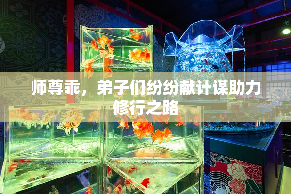 师尊乖，弟子们纷纷献计谋助力修行之路