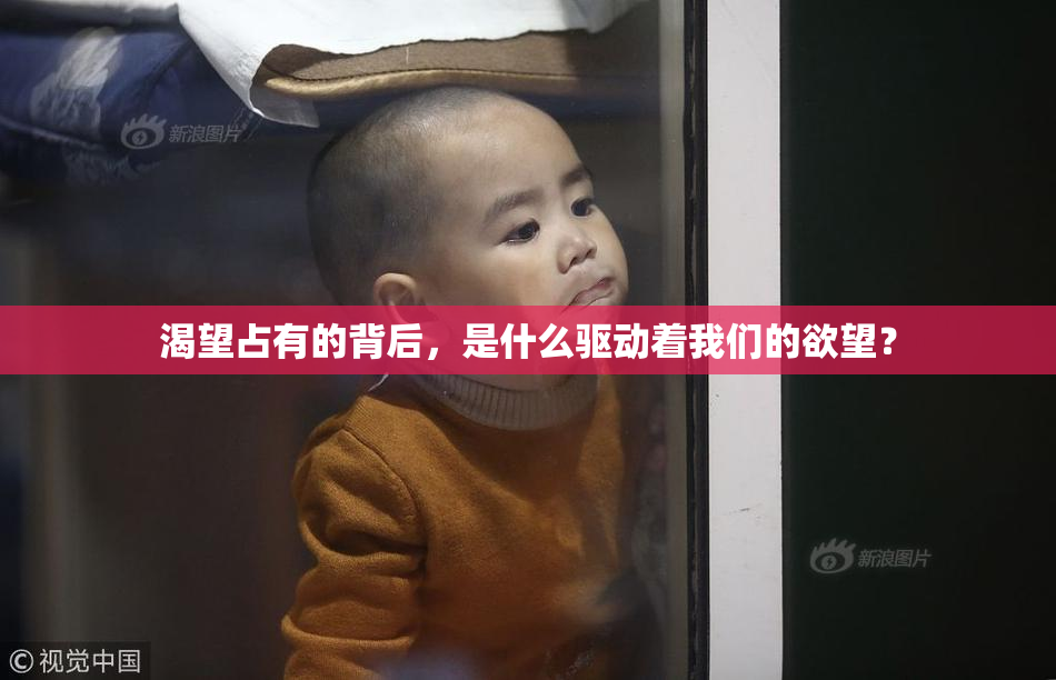渴望占有的背后，是什么驱动着我们的欲望？