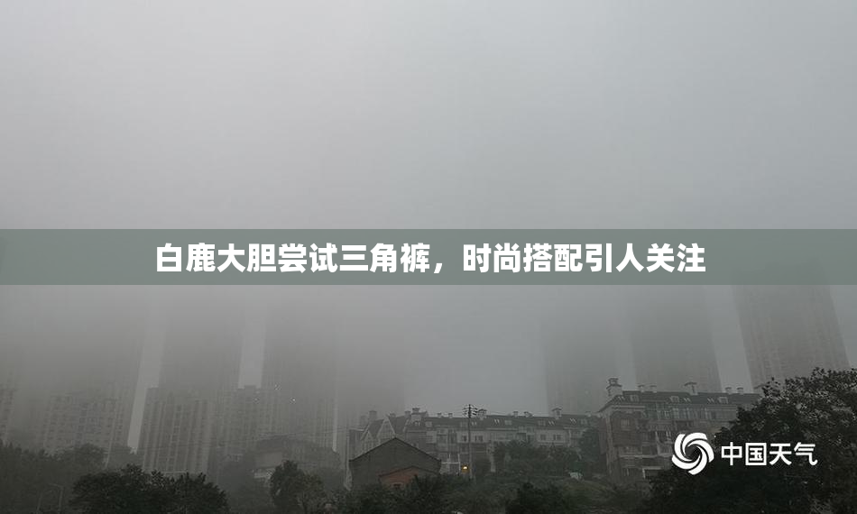 白鹿大胆尝试三角裤，时尚搭配引人关注