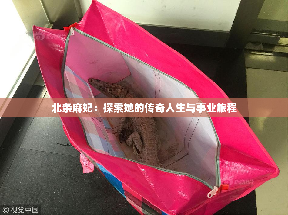 北条麻妃：探索她的传奇人生与事业旅程