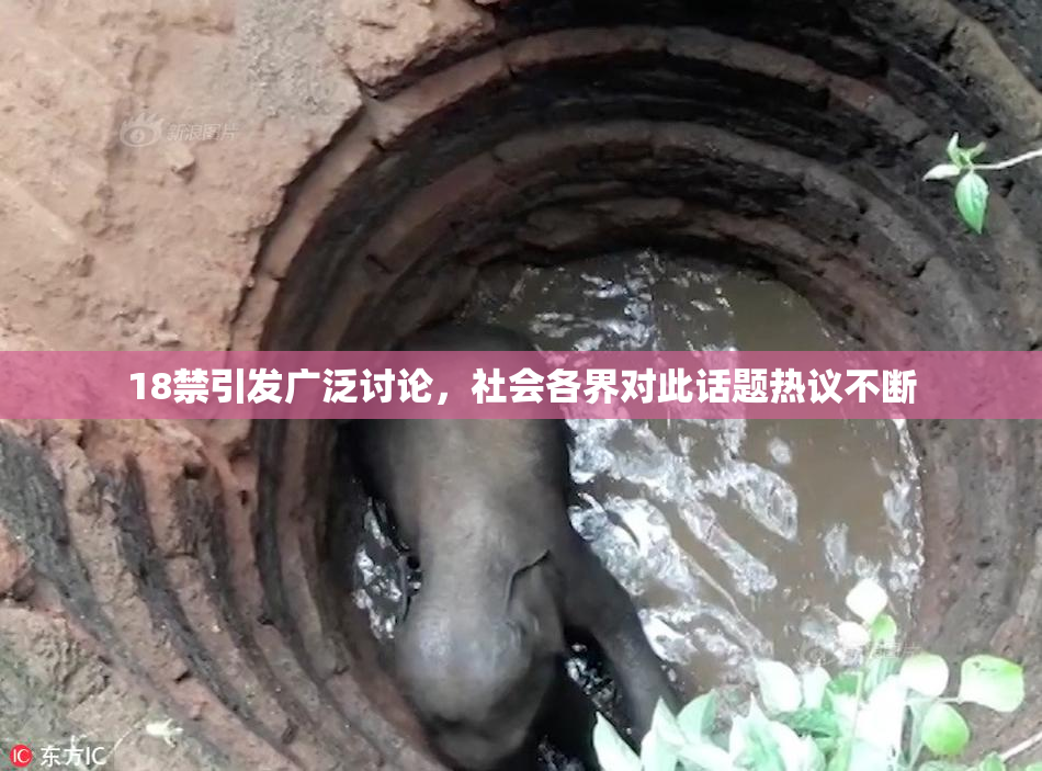 18禁引发广泛讨论，社会各界对此话题热议不断