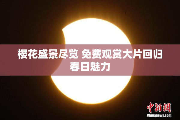 樱花盛景尽览 免费观赏大片回归春日魅力
