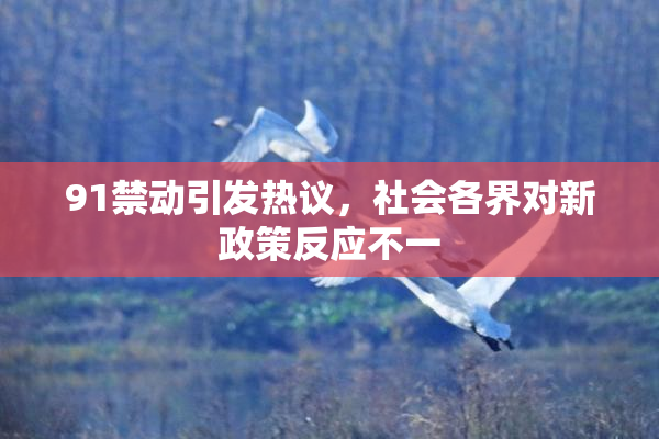 91禁动引发热议，社会各界对新政策反应不一