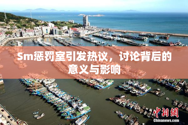 Sm惩罚室引发热议，讨论背后的意义与影响