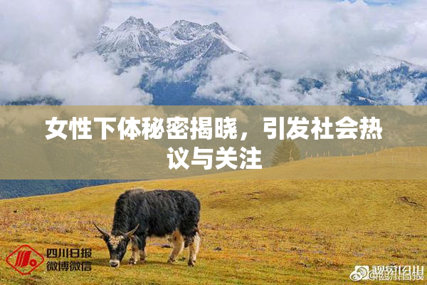 女性下体秘密揭晓，引发社会热议与关注