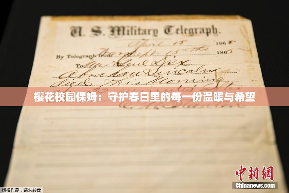 樱花校园保姆：守护春日里的每一份温暖与希望