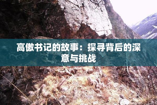 高傲书记的故事：探寻背后的深意与挑战