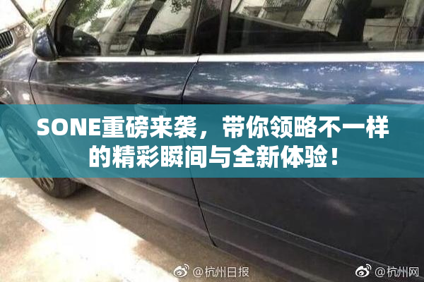 SONE重磅来袭，带你领略不一样的精彩瞬间与全新体验！