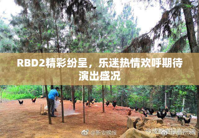 RBD2精彩纷呈，乐迷热情欢呼期待演出盛况