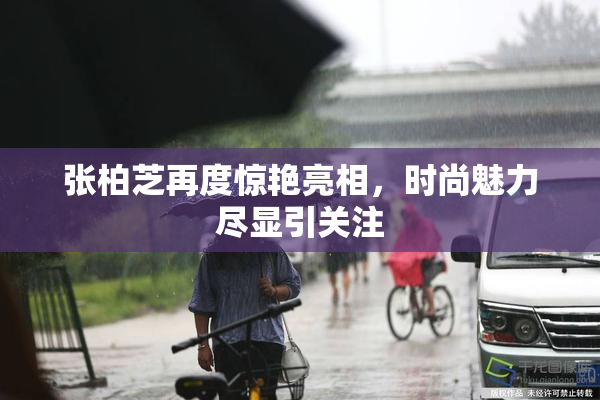 张柏芝再度惊艳亮相，时尚魅力尽显引关注