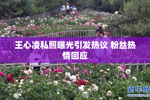 王心凌私照曝光引发热议 粉丝热情回应