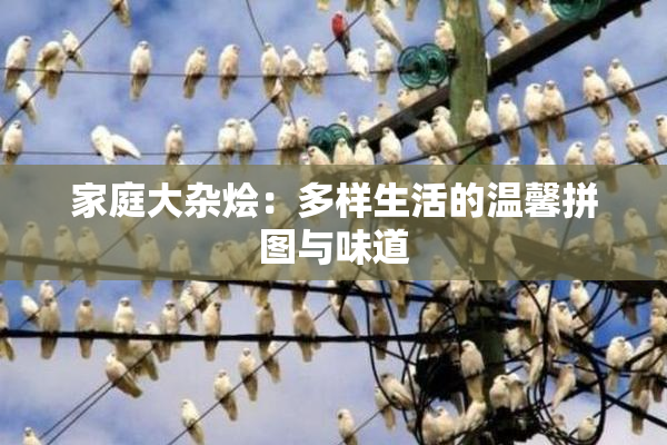 家庭大杂烩：多样生活的温馨拼图与味道