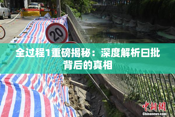 全过程1重磅揭秘：深度解析曰批背后的真相