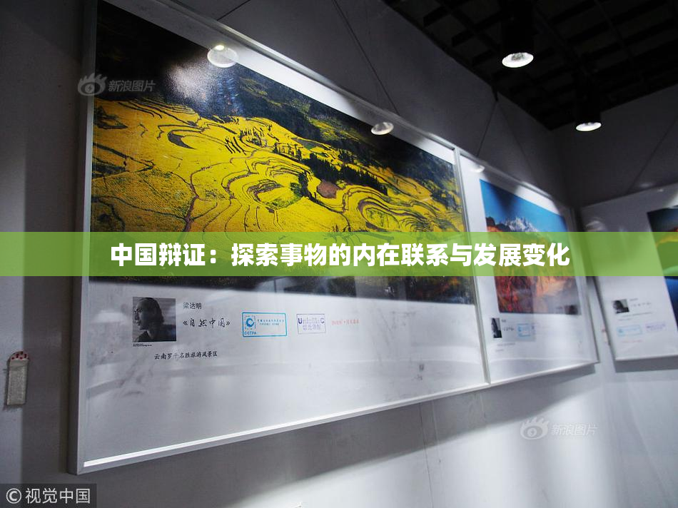 中国辩证：探索事物的内在联系与发展变化