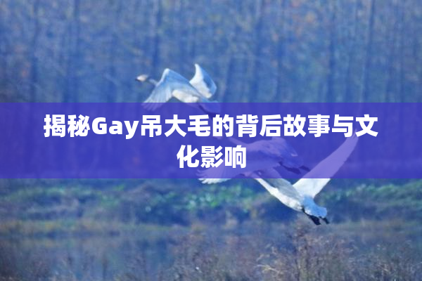 揭秘Gay吊大毛的背后故事与文化影响