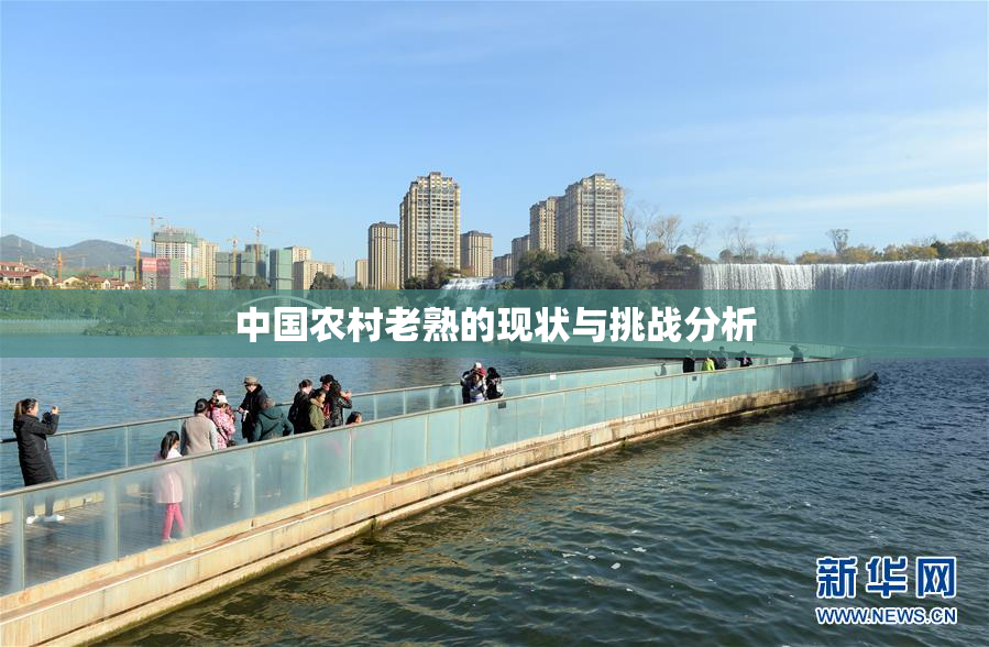 中国农村老熟的现状与挑战分析