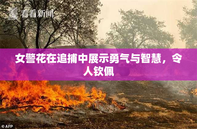 女警花在追捕中展示勇气与智慧，令人钦佩