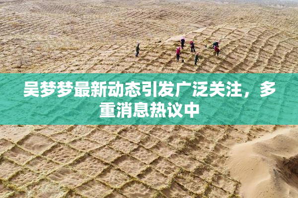 吴梦梦最新动态引发广泛关注，多重消息热议中