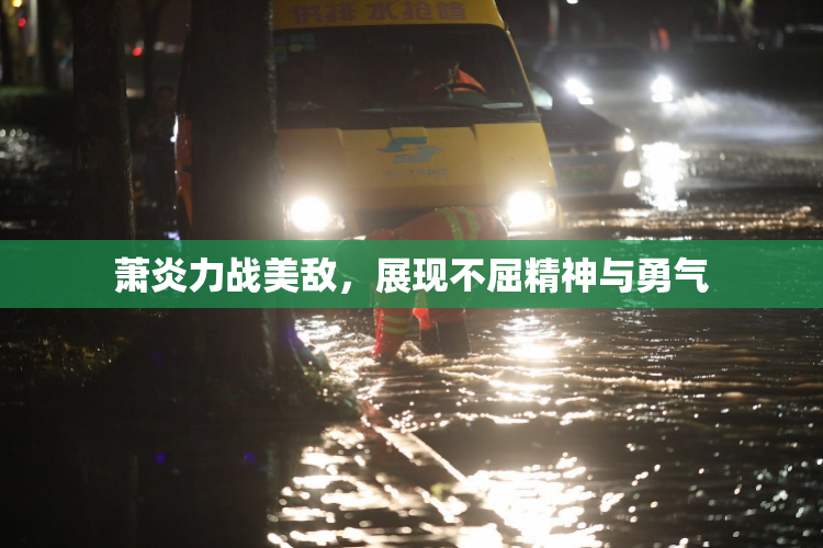 萧炎力战美敌，展现不屈精神与勇气