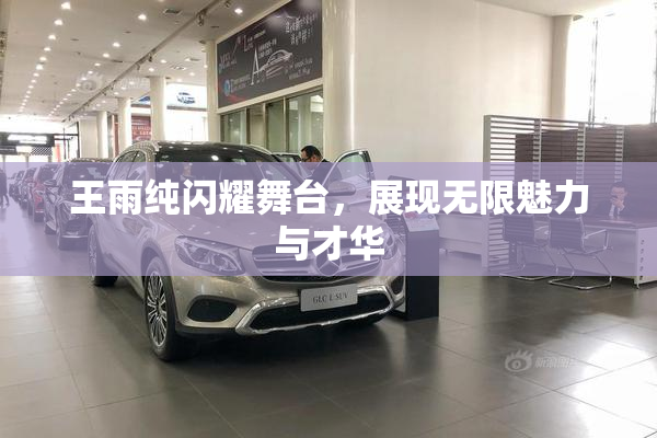 王雨纯闪耀舞台，展现无限魅力与才华