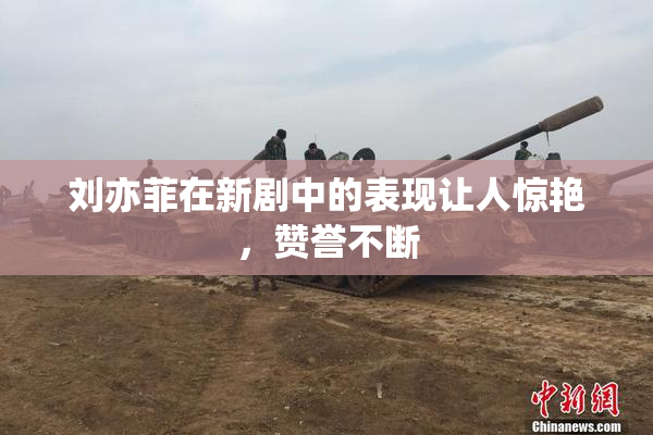 刘亦菲在新剧中的表现让人惊艳，赞誉不断