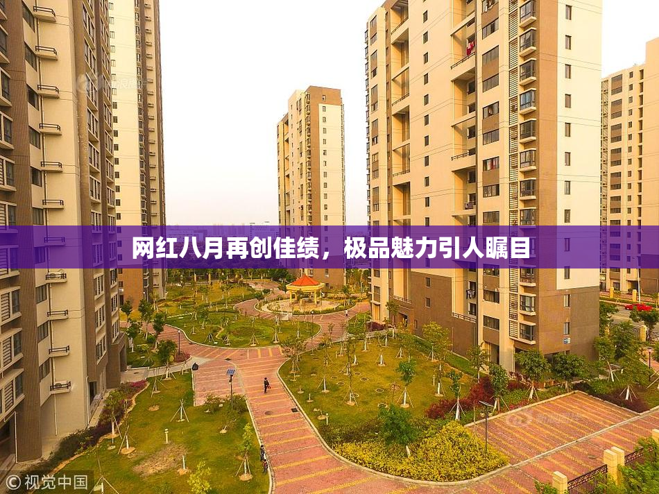 网红八月再创佳绩，极品魅力引人瞩目