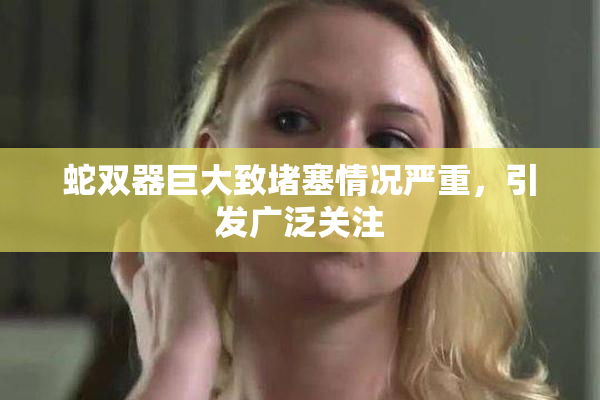 蛇双器巨大致堵塞情况严重，引发广泛关注