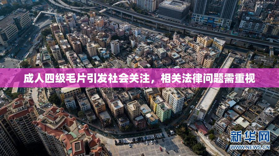 成人四级毛片引发社会关注，相关法律问题需重视