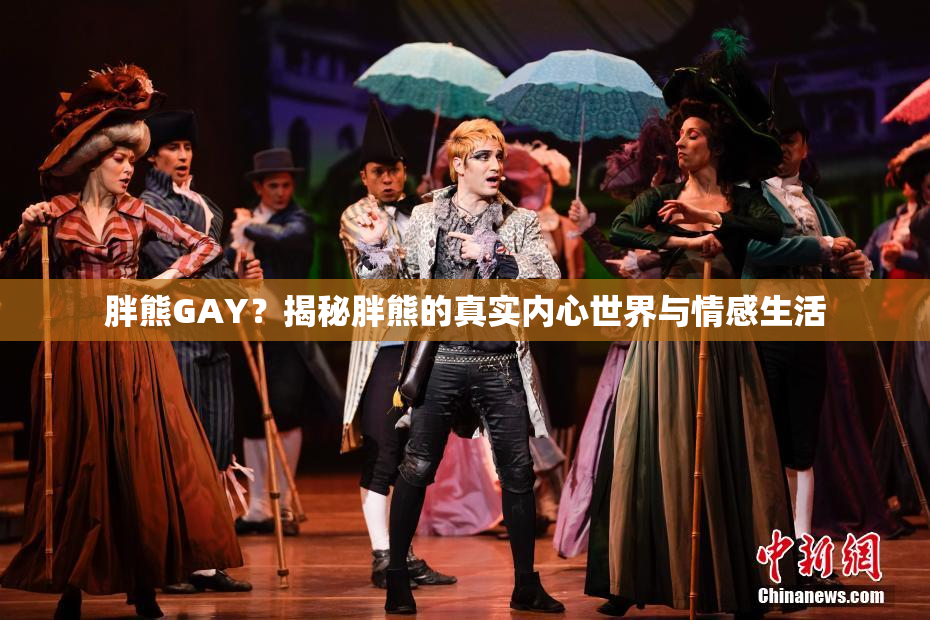 胖熊GAY？揭秘胖熊的真实内心世界与情感生活