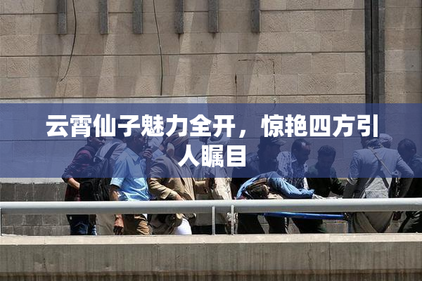 云霄仙子魅力全开，惊艳四方引人瞩目