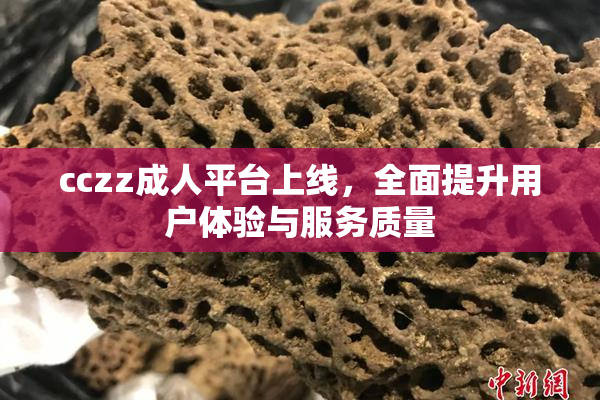 cczz成人平台上线，全面提升用户体验与服务质量