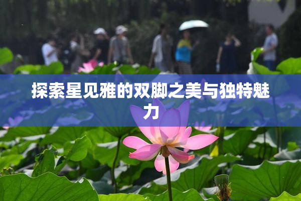 探索星见雅的双脚之美与独特魅力