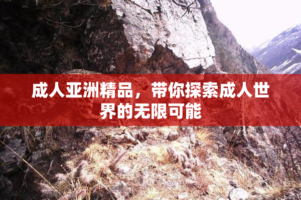 成人亚洲精品，带你探索成人世界的无限可能