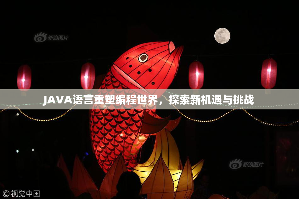 JAVA语言重塑编程世界，探索新机遇与挑战