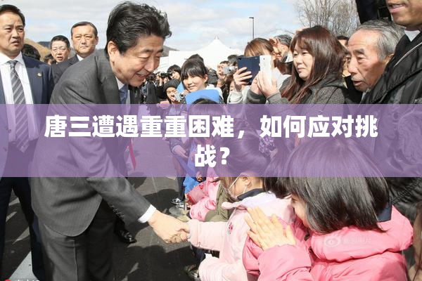 唐三遭遇重重困难，如何应对挑战？