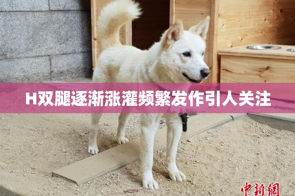 H双腿逐渐涨灌频繁发作引人关注