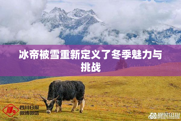 冰帝被雪重新定义了冬季魅力与挑战