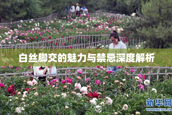白丝脚交的魅力与禁忌深度解析