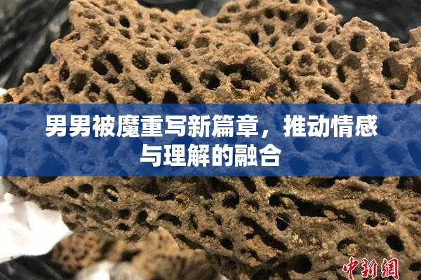 男男被魔重写新篇章，推动情感与理解的融合