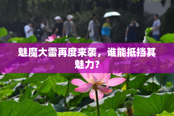 魅魔大雷再度来袭，谁能抵挡其魅力？