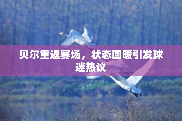 贝尔重返赛场，状态回暖引发球迷热议