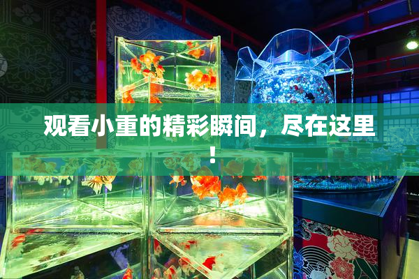 观看小重的精彩瞬间，尽在这里！