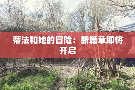 蒂法和她的冒险：新篇章即将开启
