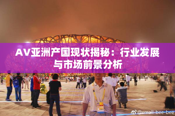 AV亚洲产国现状揭秘：行业发展与市场前景分析