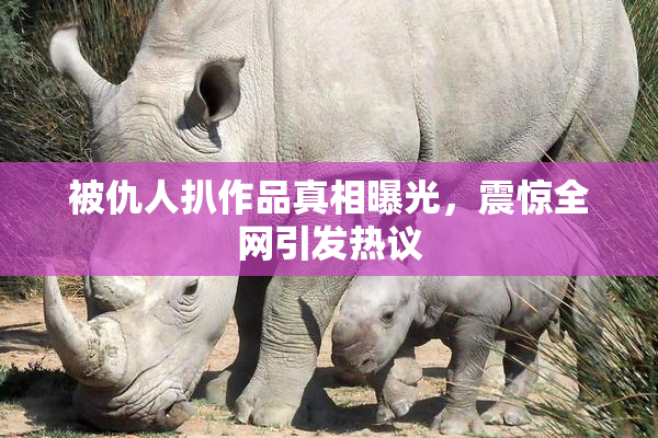 被仇人扒作品真相曝光，震惊全网引发热议