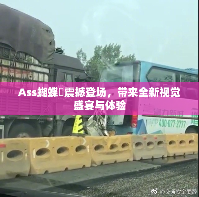 Ass蝴蝶泬震撼登场，带来全新视觉盛宴与体验