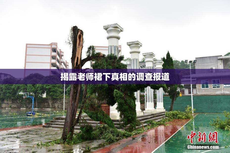 揭露老师裙下真相的调查报道
