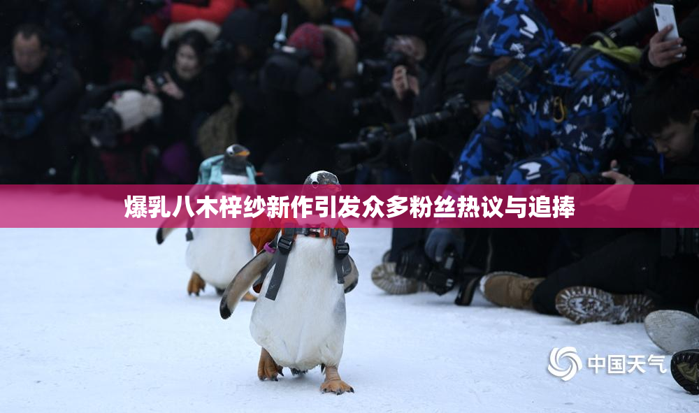 爆乳八木梓纱新作引发众多粉丝热议与追捧