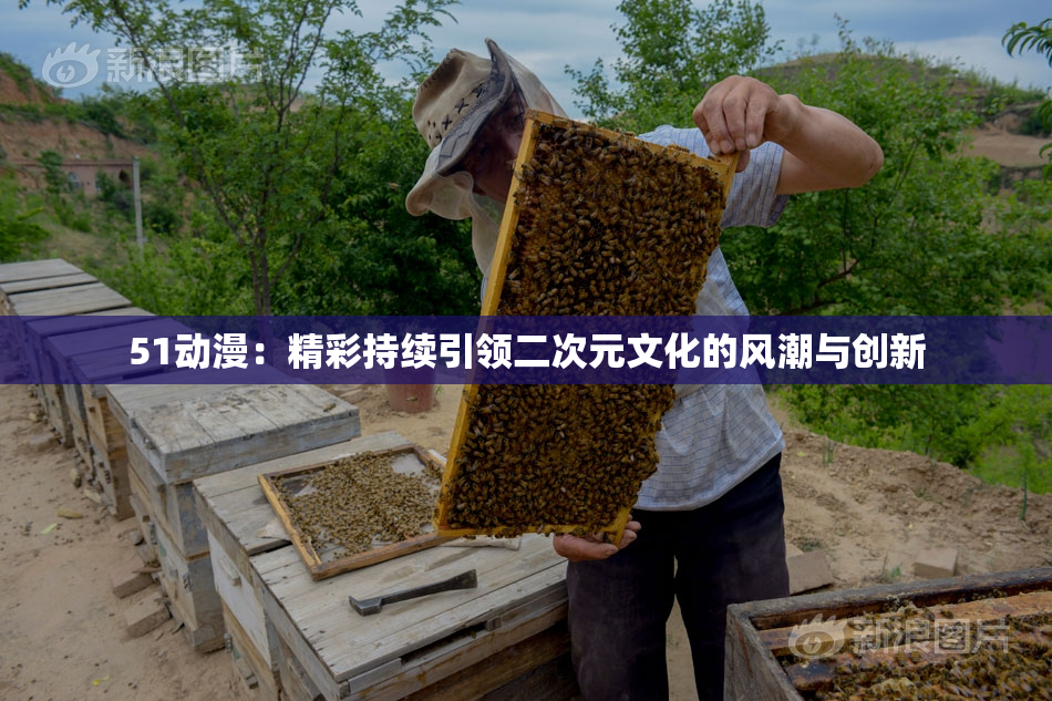 51动漫：精彩持续引领二次元文化的风潮与创新