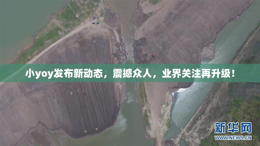 小yoy发布新动态，震撼众人，业界关注再升级！